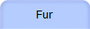 Fur