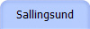 Sallingsund